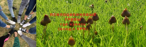 кокс Алзамай