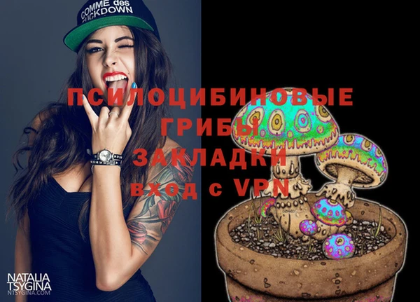кокс Алзамай