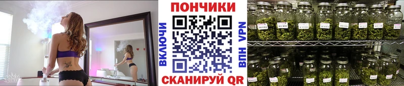 Бошки марихуана планчик  Сольвычегодск 